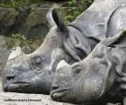 Δύο ρινόκεροι που ξεκουράζονται